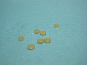 GGPH2990 SPACER XPF .